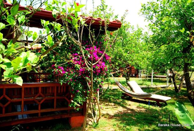 Baraka Houses - Görsel 19