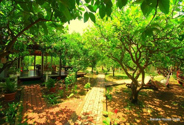 Baraka Houses - Görsel 21