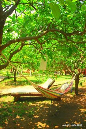 Baraka Houses - Görsel 23