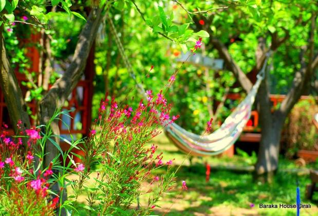 Baraka Houses - Görsel 24