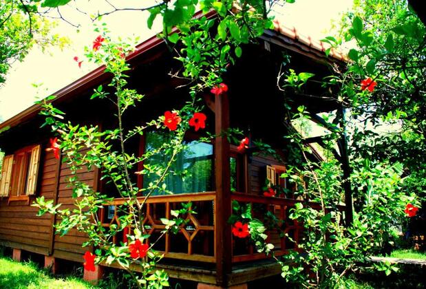 Baraka Houses - Görsel 27