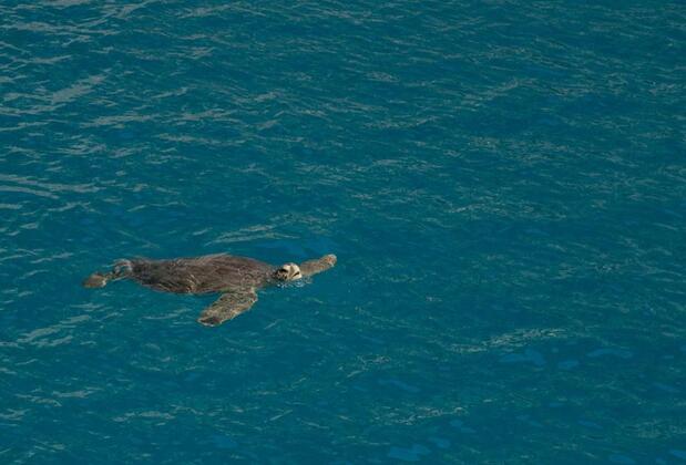 Baraka Houses - Görsel 30