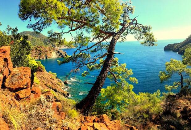 Baraka Houses - Görsel 40