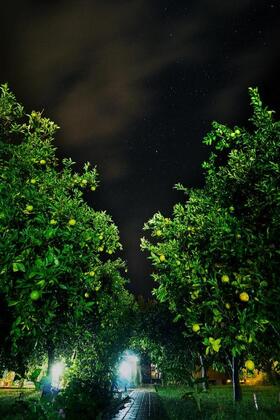 Baraka Houses - Görsel 41