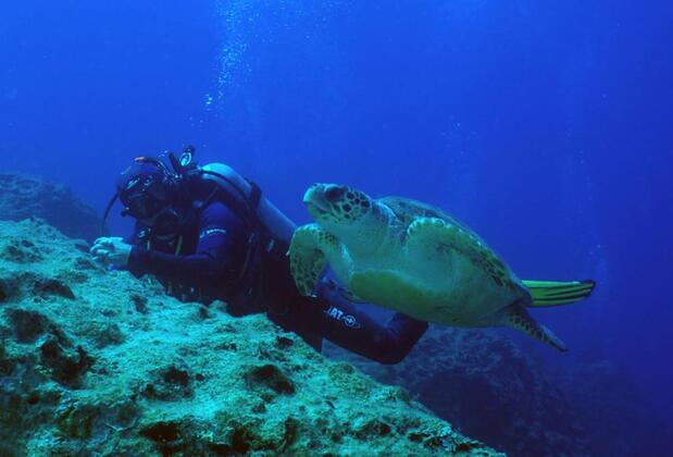 Melisa Apart Kaş - Görsel 23