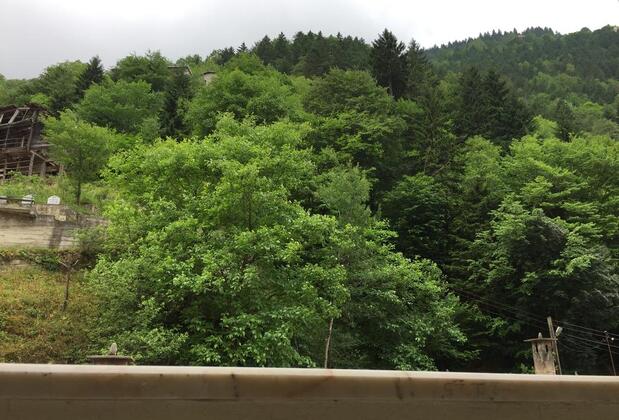 Özen Golden Apart - Görsel 10