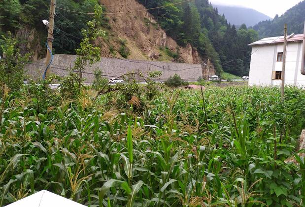 Özen Golden Apart - Görsel 8