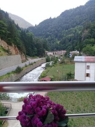 Özen Golden Apart - Görsel 11