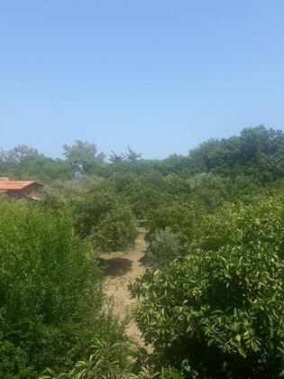 Palm Konak Apart Otel - Görsel 38