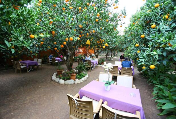 Bahçe Villa Hotel - Görsel 4