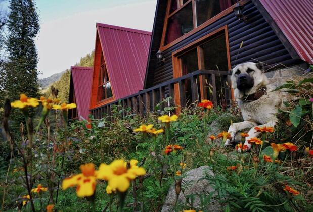 Kotit Ayder Bungalov & Restaurant - Görsel 7