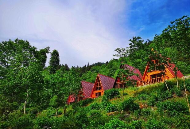 Kotit Ayder Bungalov & Restaurant - Görsel 23