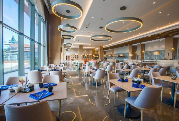 Radisson Blu Hotel Trabzon - Görsel 47