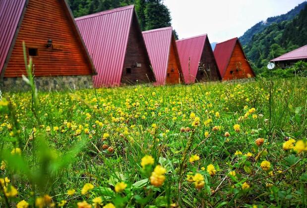 Kotit Ayder Bungalov & Restaurant - Görsel 21