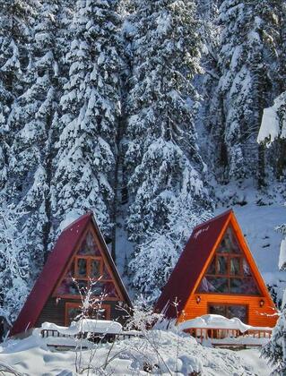 Kotit Ayder Bungalov & Restaurant - Görsel 29