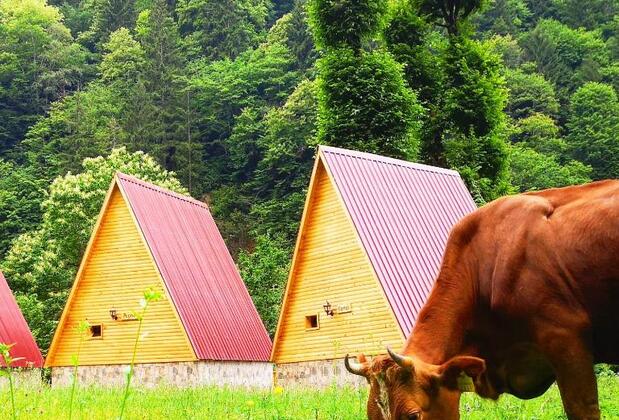 Kotit Ayder Bungalov & Restaurant - Görsel 32