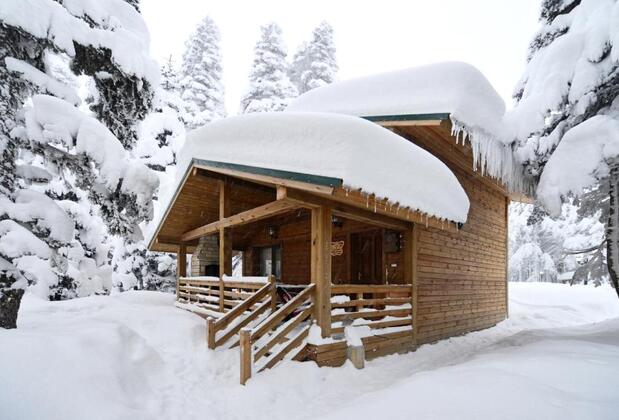 Karinna Çobankaya Ahşap Orman Köşkleri - Görsel 6