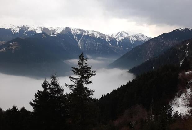 Yeşil Köşk Otel - Görsel 14