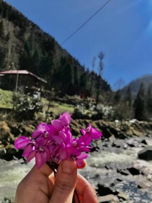 Foga Bungalow - Görsel 29