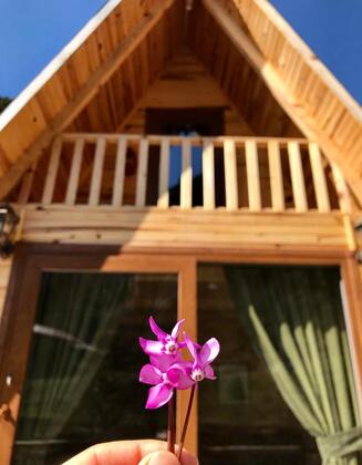 Foga Bungalow - Görsel 7