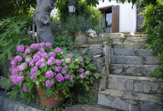Terrace Houses Şirince - Görsel 28