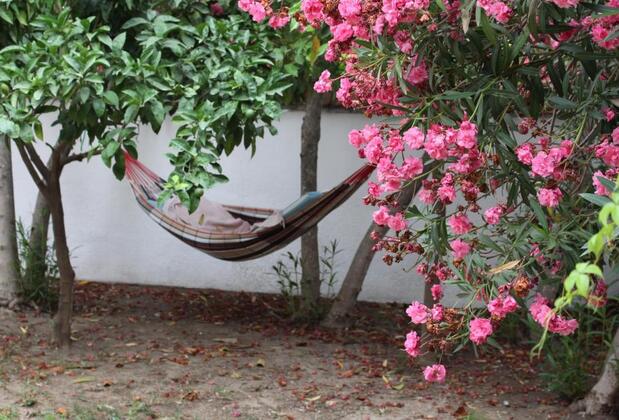 Turtle Beach Otel Dalyan - Görsel 19