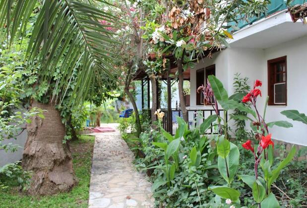 Turtle Beach Otel Dalyan - Görsel 15