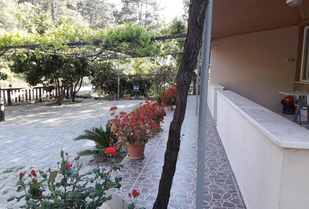 Rose Apart Sarıgerme - Görsel 15