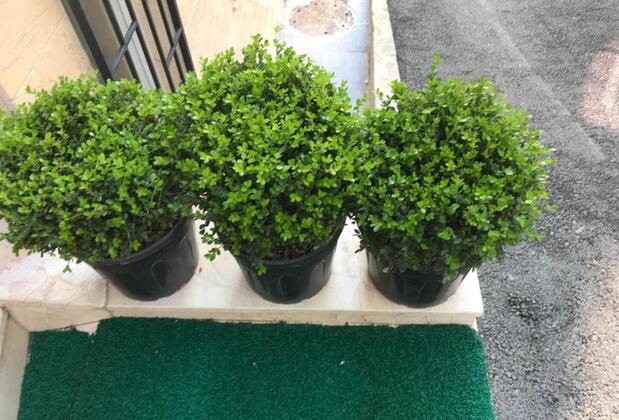 Sunset Aparts - Görsel 3