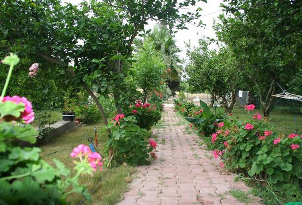 Naz Apartları Çıralı - Görsel 8