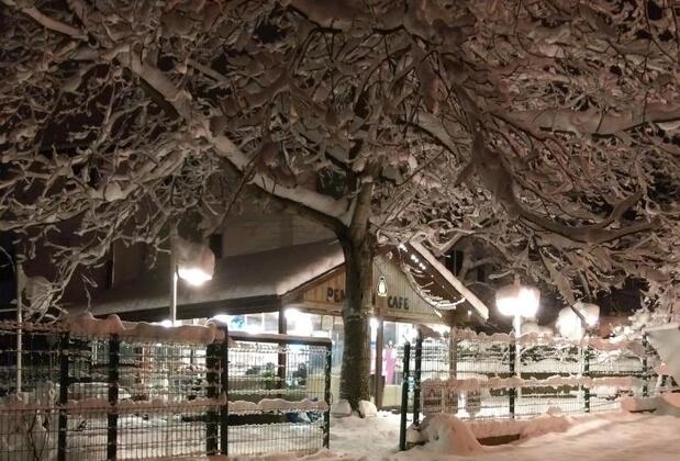 Alaska Bungalow Sapanca - Görsel 4