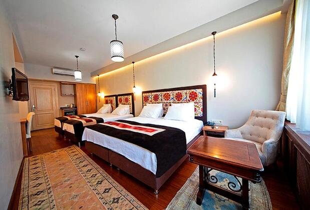 Hippodrome Hotel İstanbul - Görsel 15