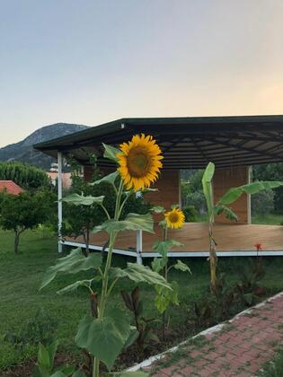 Almira Butik Otel - Görsel 5