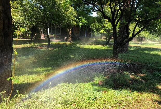 Almira Butik Otel - Görsel 6