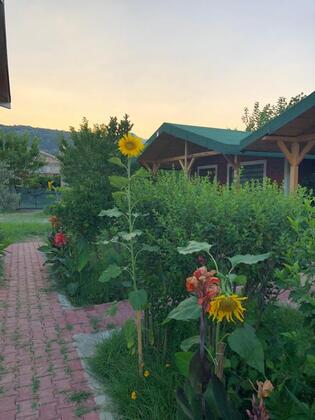 Almira Butik Otel - Görsel 9