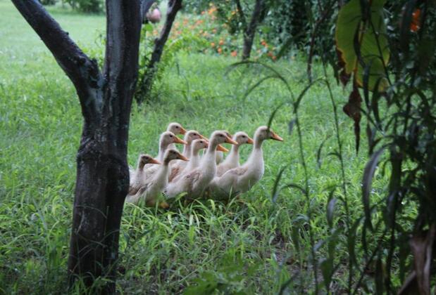 Almira Butik Otel - Görsel 14