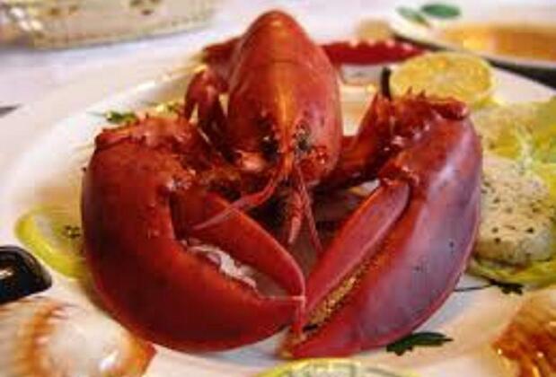 Han Apart Otel Menderes - Görsel 34