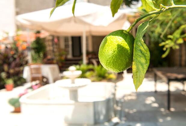 Alaçatı Köstem Otel - Görsel 47