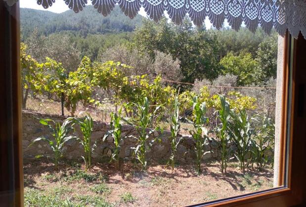 Villa Kalamar - Görsel 41