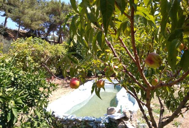 Villa Kalamar - Görsel 45