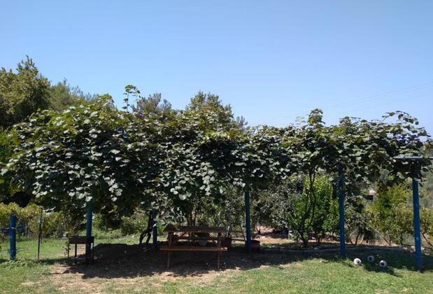 Villa Kalamar - Görsel 33