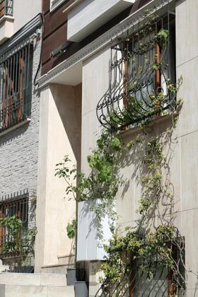 Hotel New House - Görsel 6