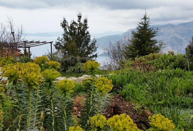 Yediburunlar Lighthouse - Görsel 14