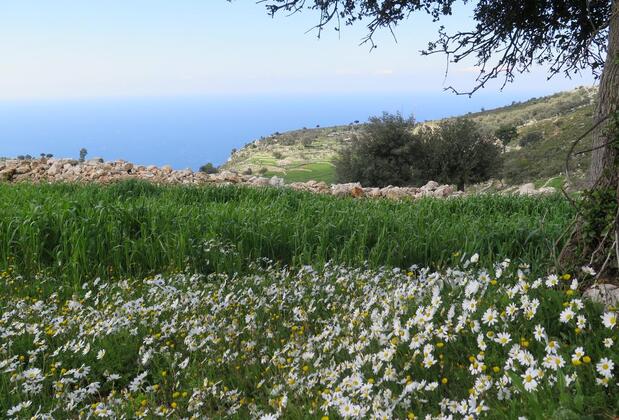 Yediburunlar Lighthouse - Görsel 15