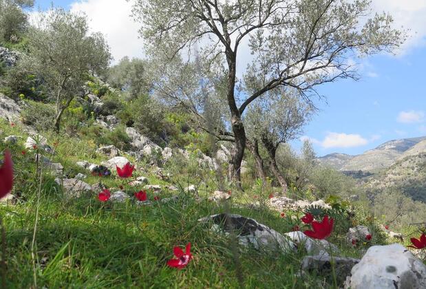 Yediburunlar Lighthouse - Görsel 16