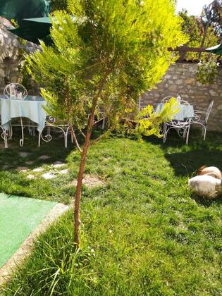 Badeli Konak Safranbolu - Görsel 15