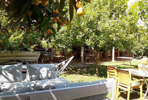 Sunset Boutique Hotel Apartments - Görsel 39