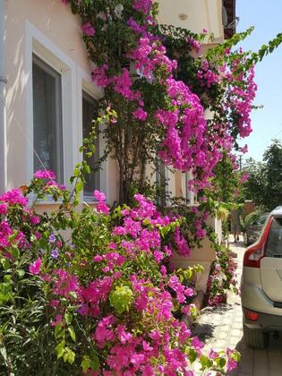 Karya Apartments Köyceğiz - Görsel 4