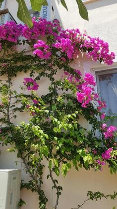 Karya Apartments Köyceğiz - Görsel 3