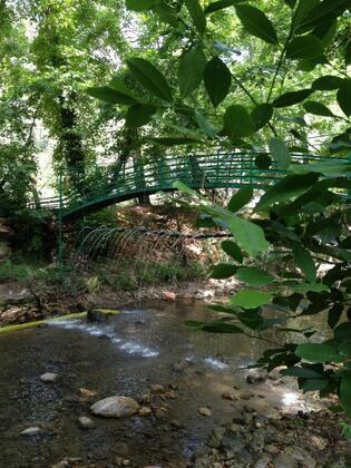 Yörük Park Pansiyon & Restaurant - Görsel 3